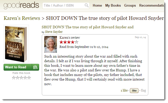 Goodreads | Karen reviews "Shot Down"